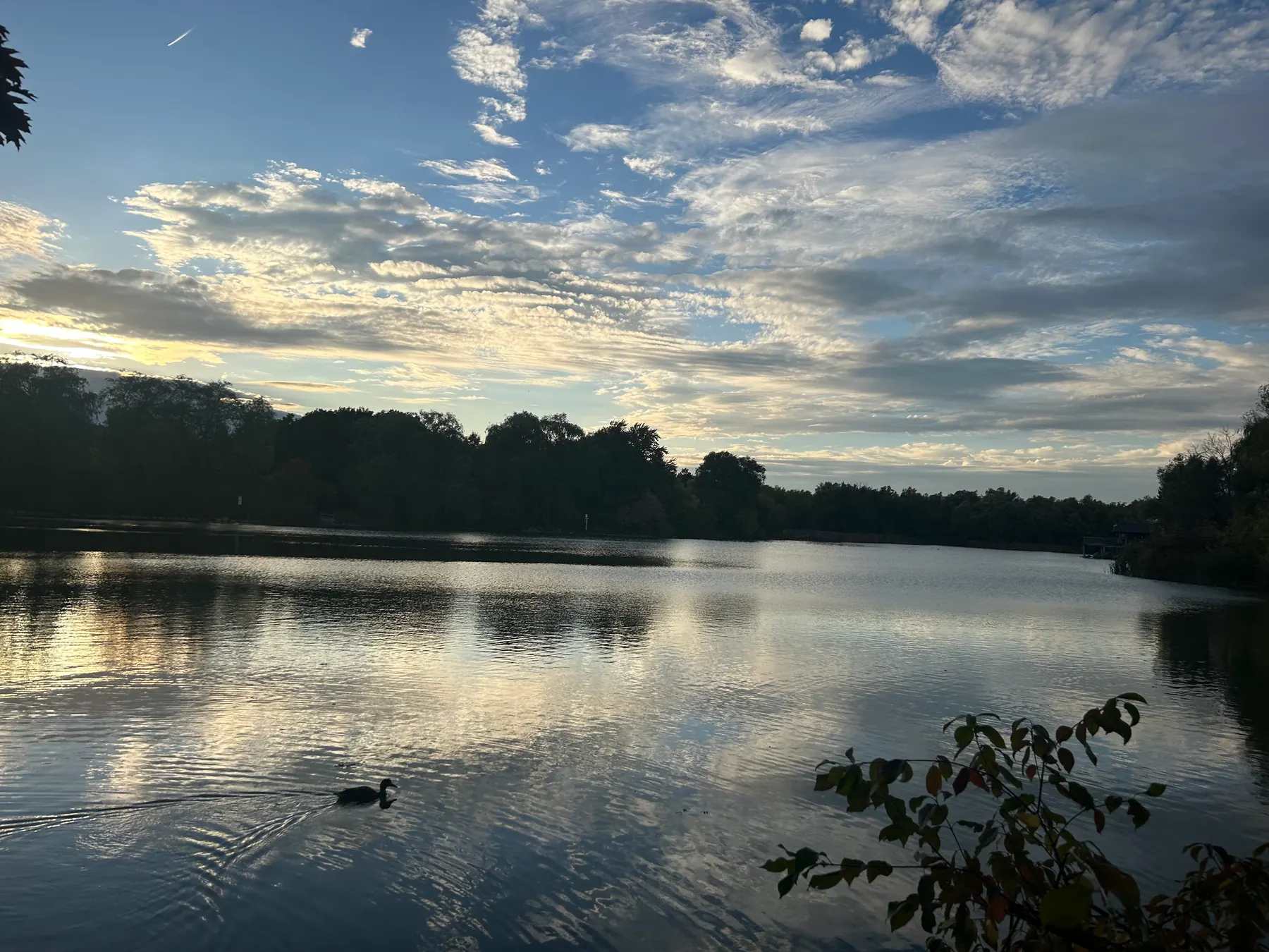 Toogood pond image 9