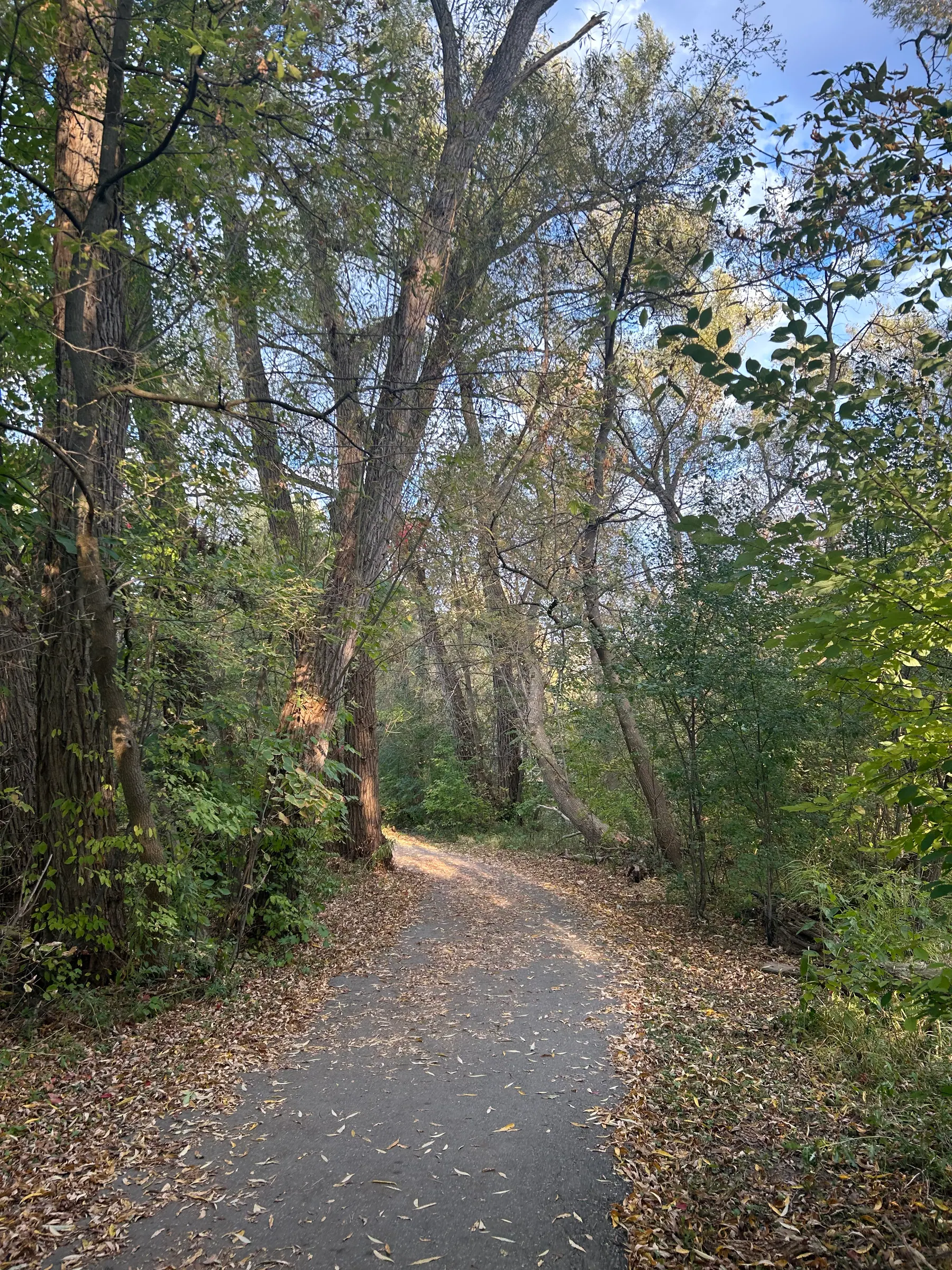 Toogood pond image 10