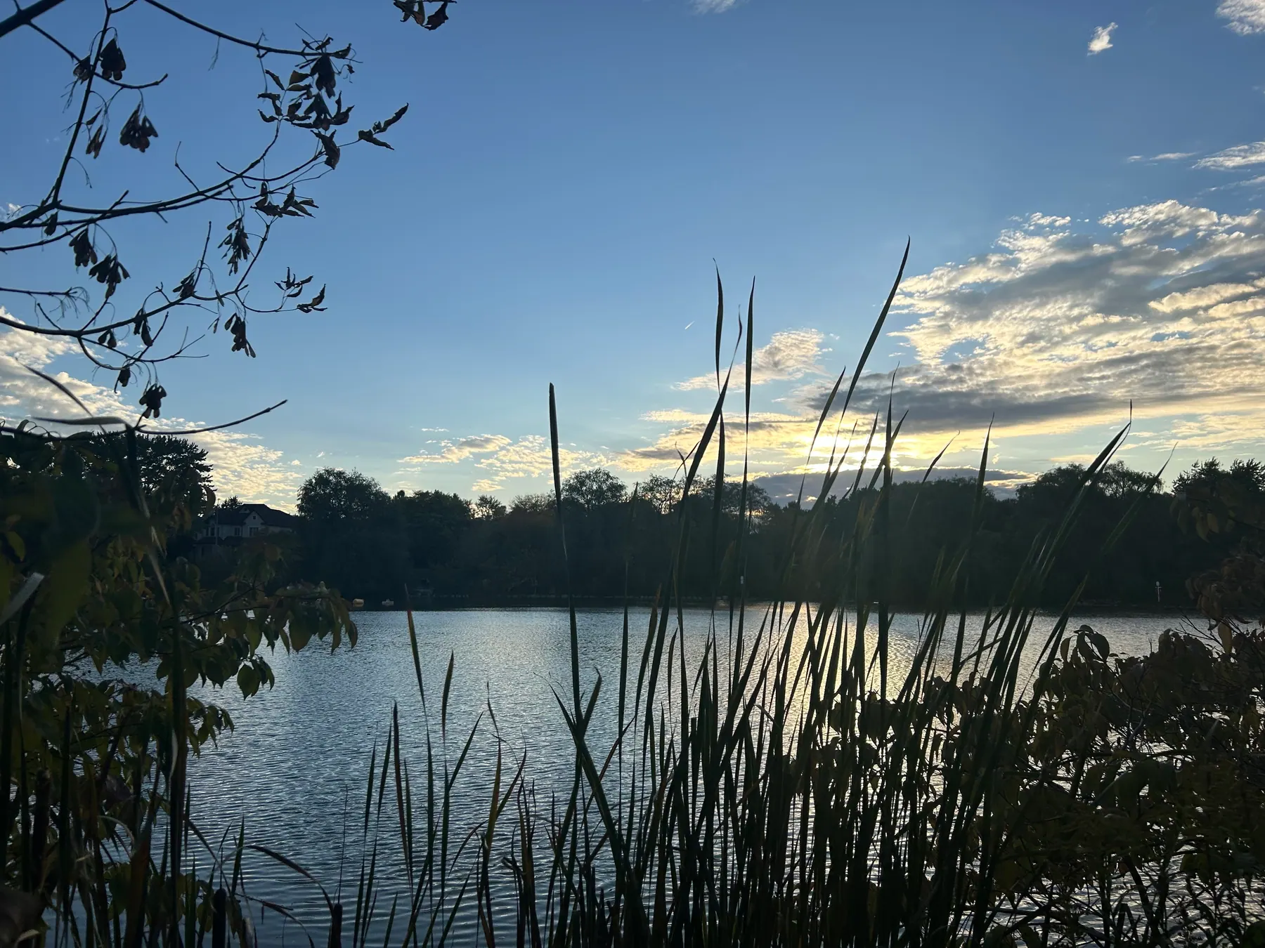 Toogood pond image 3