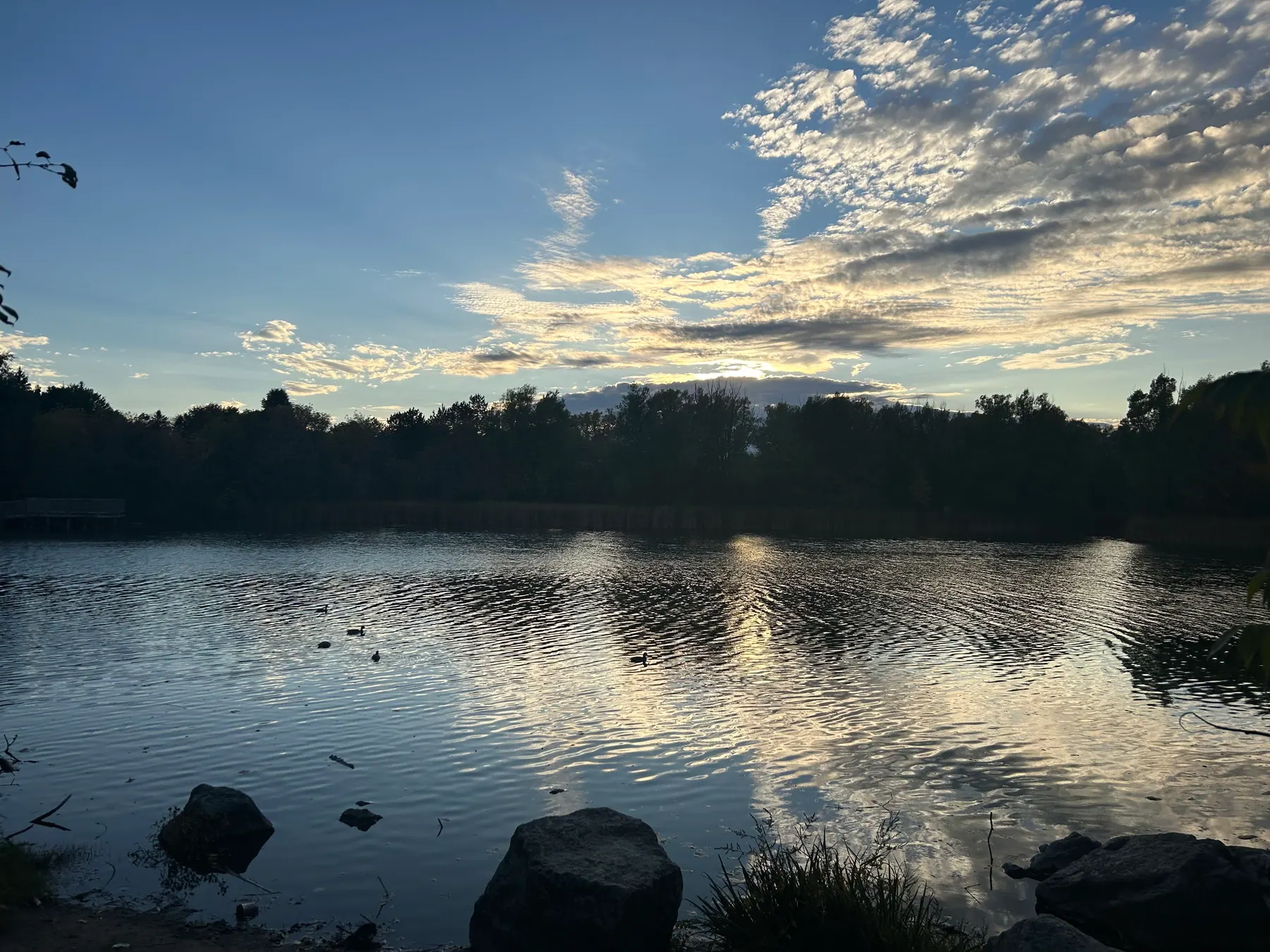 Toogood pond image 5