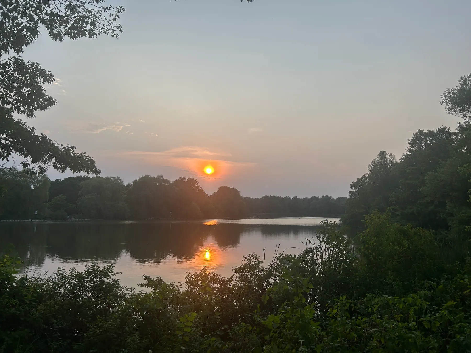 Toogood pond image 7