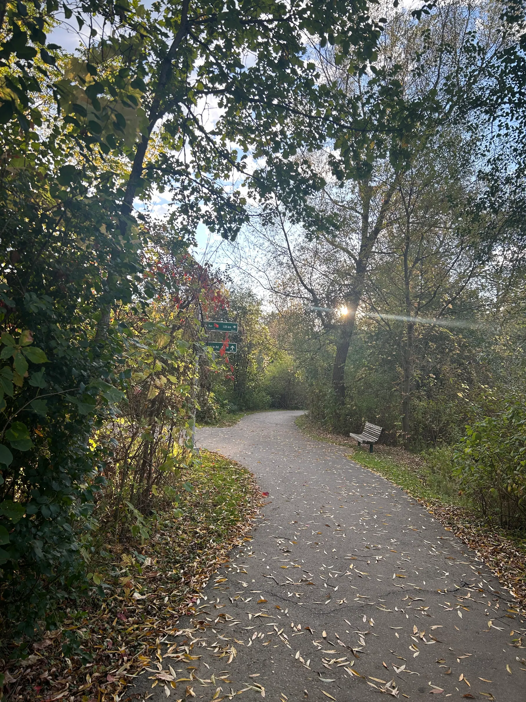 Toogood pond image 8