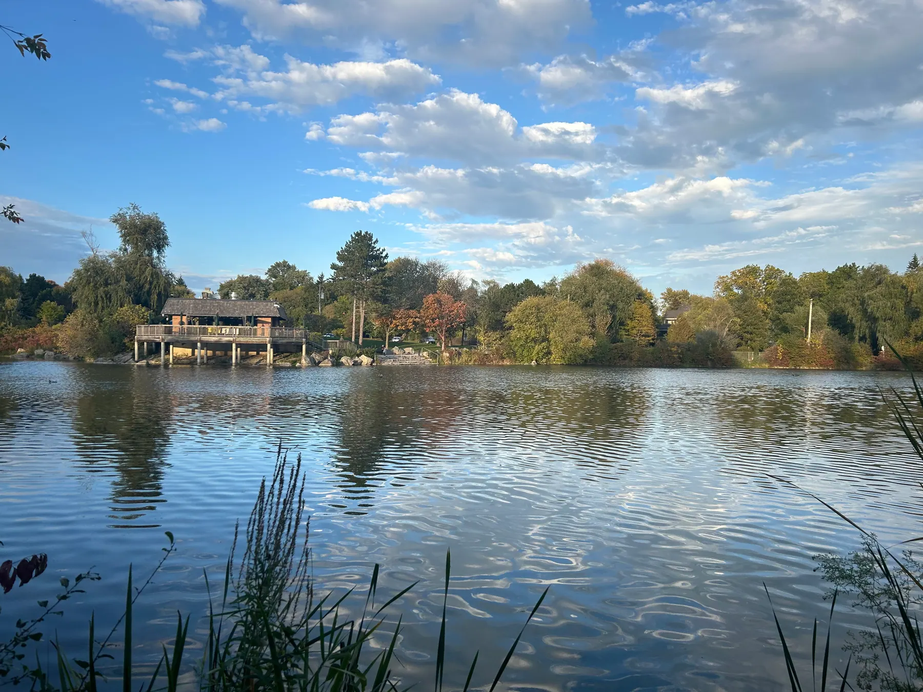 Toogood pond journey preview
